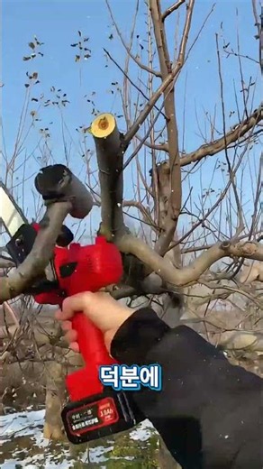 The surprising power of this mini chainsaw 😳 #minichainsaw #DIY #tools