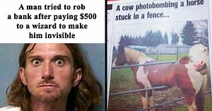 50 Wild Incidents That Would Be Hard To Believe If They Hadn’t Made The News