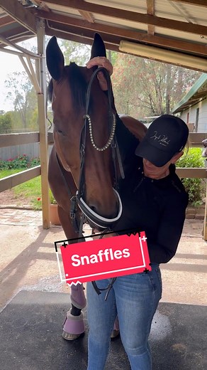 Choosing the Correct Snaffle for Your Horse | Equestrian Gear Selection