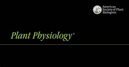 Webinar : Plant Lipids