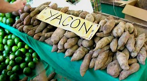 Best Yacon Recipes to Try this Season