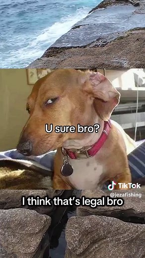 Fishing Fails: Hilarious Moments with Tiny Fish