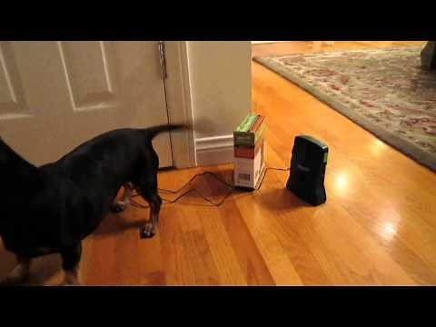 Good Life Dog Silencer Pro Stop Barking Product Review