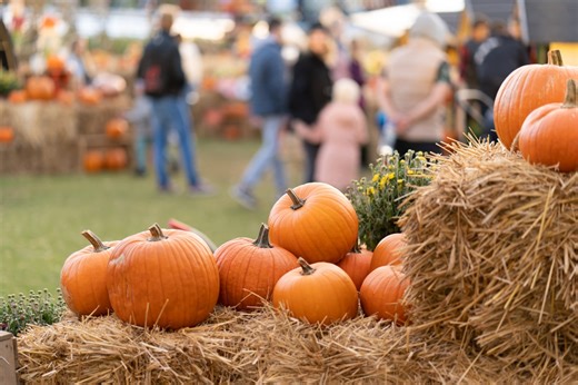 Movies, candy, fall festivals: Ways to celebrate autumn in East Texas