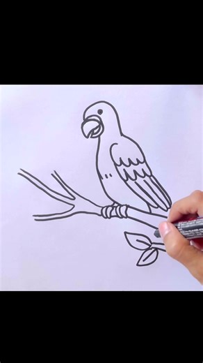 Draw Parrot | Zoo | Animal | Easy funny drawings of cartoons #animal #drawing #draw #cartoon #kids #kidsvideo #artkidsdraw #art #easy #easydrawing #drawingforkids #drawingfunnyanimals #drawstepbystep #zoo #parrot #วาดรูป #การ์ตูน #วาดรูปง่ายๆ #วาดรูปน่ารัก #สอนวาดรูป #สอนเด็กวาดรูป #สวนสัตว์ #นกแก้ว