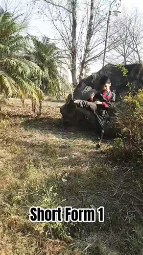 Short Form 1 #mma #kempo #fightback #martialarts #selfdifence #kata #taekwondo #kravmaga #kungfu