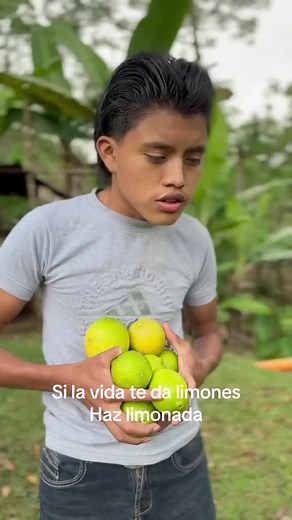 Picking Fresh Limes in a Scenic Outdoor Setting