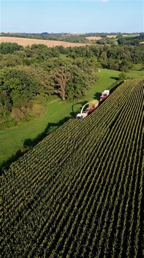Tractor driver POV. #dairy #dairyfarming #farmer #familyfarm #life #farmerlife | FarminwithTrev