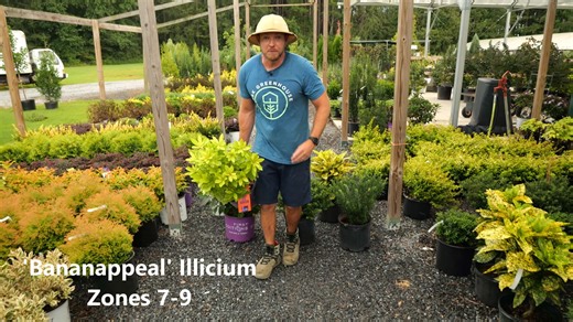 ** NEED TO LANDSCAPE YOUR HOME?? ** In this video, I’ll show you designer-worthy shrub combinations that are easy to create but look like they came straight from a professional landscape plan. Whether you’re refreshing your front yard, adding curb appeal, or building a low-maintenance garden, these combinations will help you create a polished, cohesive look without the guesswork. You’ll discover: ✅ Shrubs that pair beautifully together for year-round interest ✅ Color, texture, and height combina