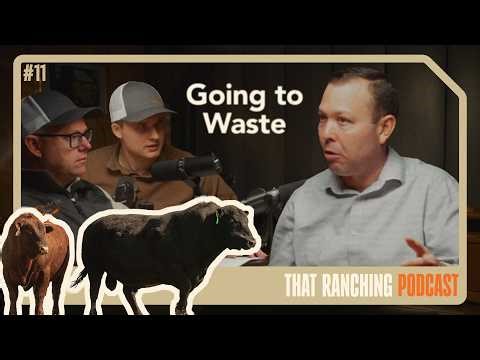 Why Your Expensive Bulls Aren’t Working