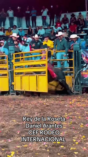 Daniel Arantes #cef_rodeo_internacional #fincaAltamira #brasil🇧🇷 #viraltiktok #pbrbullriding