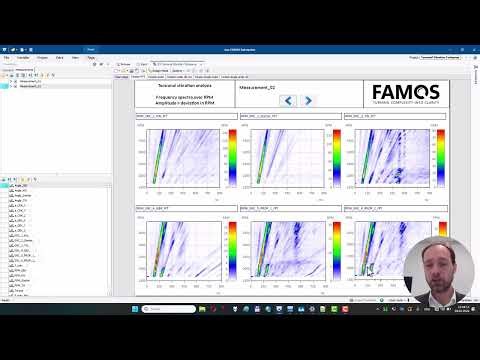 FAMOS Torsional Vibration Propshaft Description EN