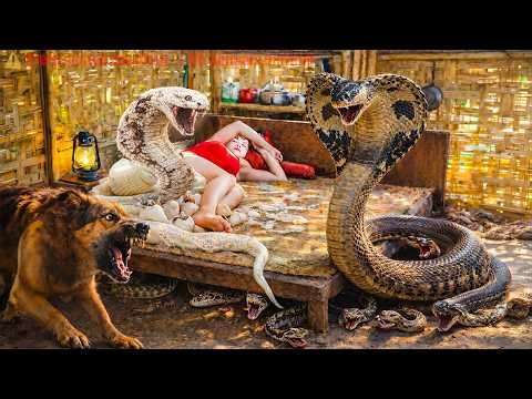 72 Hours of Terror! Girl Attacked In Her Sleep By A Giant Cobra And Albino Python – No Escape! 🐍