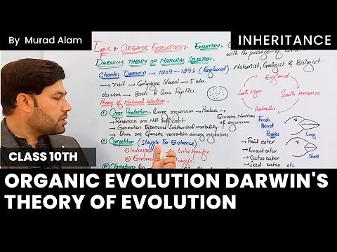 Organic Evolution Darwin's theory of evolution l Biology 10th in Urdu/Hindi l Ch: Inheritance