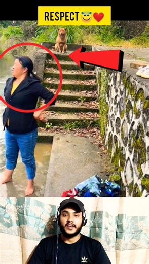 😱The Most Loyal Helper! 🐕❤️ #shorts #shortsvideo #kindness #respect #viralvideo #humanity
