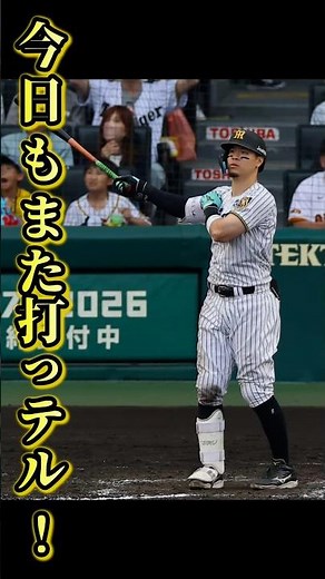 【これぞ虎の4番！今日もまた打っテル！！】#佐藤輝明 #サトテル #阪神 #阪神タイガース #hanshintigers #野球 #baseball #伝統の一戦 #巨人 #ゆーちゅー部
