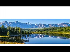 WildFire ASMR Live Stream - The ASMR Index