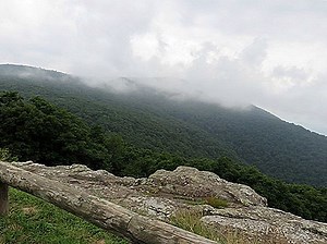 ★ 6 Dingen om te doen in Shenandoah, Texas ★  - Reistips