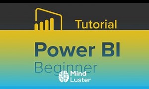 Mind Luster - Learn Power BI Beginner Tutorial