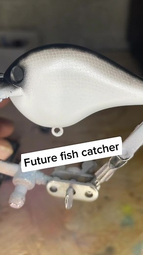 Gunna be a good spring time bait! #fishinghub #fishingtrend #fishingseason #fishinglife #bassfishing