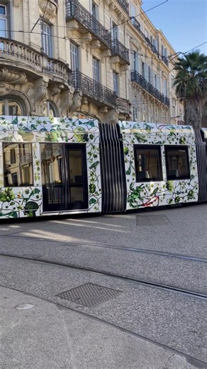 La ligne 5 de tramway circule dans Montpellier sans voyageurs pour la dernière phase d'essais avant sa mise en service le 20 décembre. | Gazette Live Montpellier