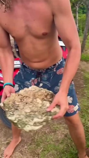Watch what happens next… #viralhook #funny #hooktransition #shortsintro #funnyshorts #hookstep