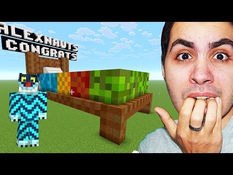 ALEX HAS A BABY! I'M PAYING MINECRAFT PRO BUILDERS TO BUILD THE GIFT!