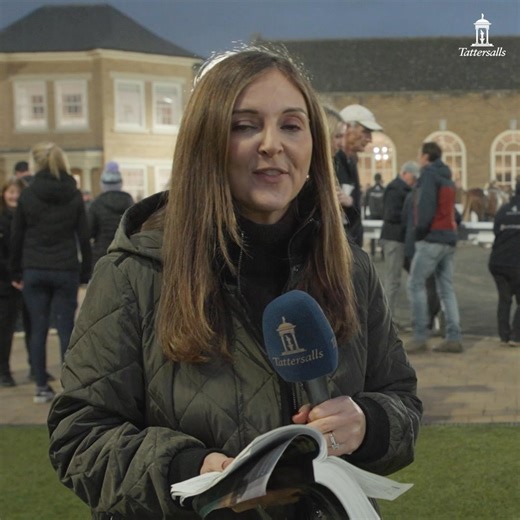 🙌 A great pinhook result for Nick Cope, turning 80,000gns to 475,000gns at Tattersalls October Book 2! The Camelot colt is a ½-brother to Super Sprint winner Caburn and is out of a black-type mare. | Tattersalls