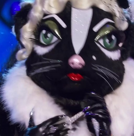 Those were sniffin' good clues from the panel! 🦨 | The Masked Singer