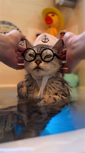 可愛い子猫のお風呂タイムに夢中