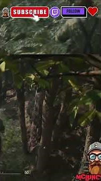 Compass Coolness: Gameplay Chaos and Crocodile Battles! #shorts