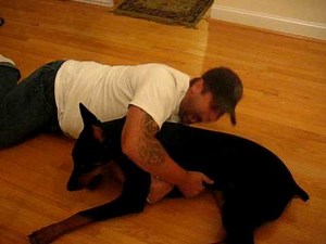 Vicious Doberman Attack on Owner...But Owner Bites Back