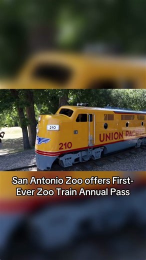 @San Antonio Zoo has annouced its first-ever Zoo Train annual Pass, providing unlimited train rides for 12 months for just $25 per person. 🎟️ both kids and adults can enjoy endless adventures aboard the historic San Antonio Zoo Train, which originally opened its tracks back in 1956 as the longest miniature railroad in the world. 🛤️ Each train in the fleet boasts enhanced amenities such as increased legroom, improved seating arrangements, upgraded sound systems, and full ADA accessibility. Thes