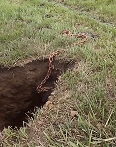 While digging to replace our mailbox, we discovered this metal object around 8 inches deep — it’s got a chain, but we have no clue what it is. Thoughts?👇 | Amazing ideas