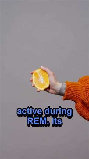 REM Sleep Locks Your Body — Here's Why