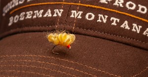 Troutbitten Fly Box -- The Sucker Spawn