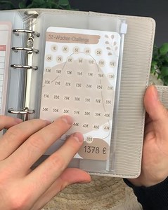 BeginnerBudget® Budget Planner Deutsch - Starterset mit Sparchallenge Budgetplaner - Sparen mit Umschlagmethode + Anleitung - Ringbuch A6 - Binder A6 Gecko-Style (Beige)