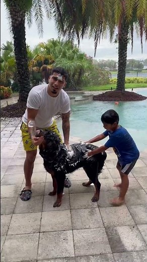Mom catches dad and son washing dog outside in the rain #shorts