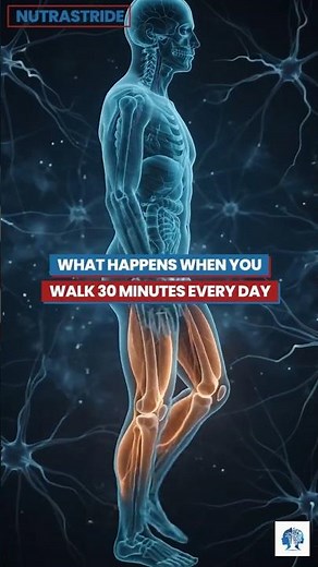 What Happens When You Walk 30 Minutes Every Day