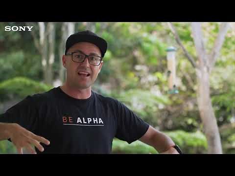 RX10 Bird Photography by Richard de Gouveia