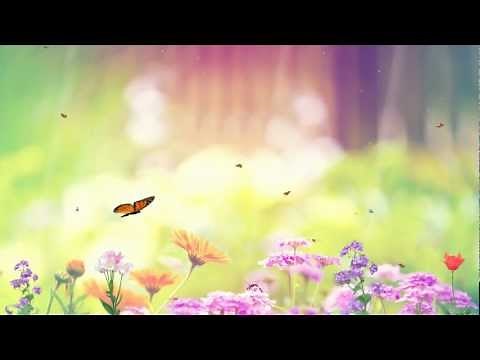 Butterfly Paradise Screensaver http://www.screensavergift.com