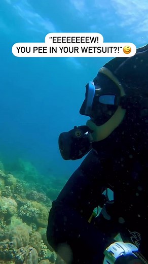Peeing in Your Wetsuit While Diving: A Normal Habit