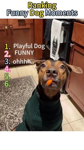 #foryour #funny #funnyvideos #tape