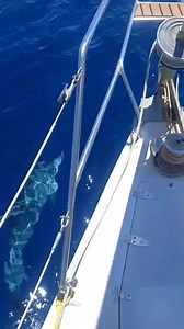 2.8K views · 32 reactions | Salut les amis de la nature et de la grande bleue  il nous reste le 26 28 juillet et le 1er août de libres d'ici la fin du mois et de la disponibilité à partir du 22 août. on serait très heureux de vous accueillir à bord  Inbox, 23304023 | Let's Go Sailing Tunisia | Facebook