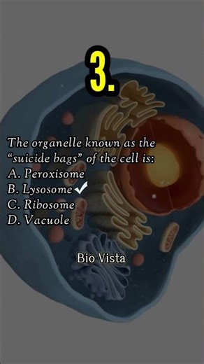 5 Important Questions on Cell: The Unit of Life | Class 11 Biology | NEET