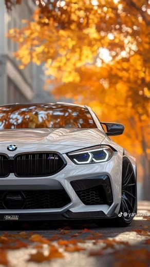 Wait for the purr-fect beat drop! 🏎️💨 #bmw #cats #luxurycars #edit #viral #trending #cars#shortsfeed