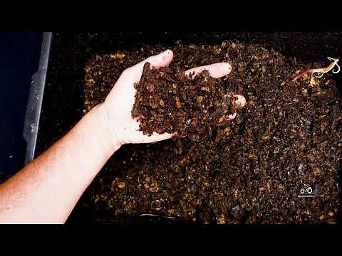 Convierte tus Residuos en Abono Natural | Guía de Compost en Casa