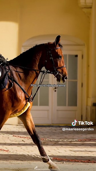 Riding in Vienna: An Equestrian Journey