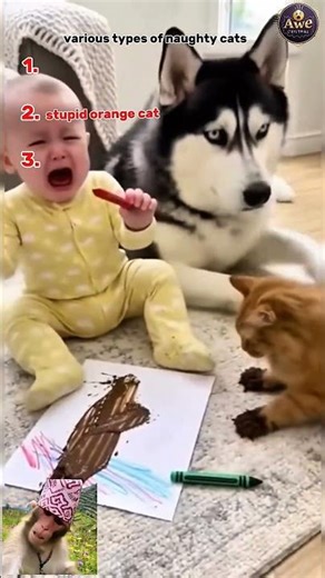Funny Naughty Cats Messing with Babies… Until Dogs Step In 😼🐶 #animals #funny #animalvideos