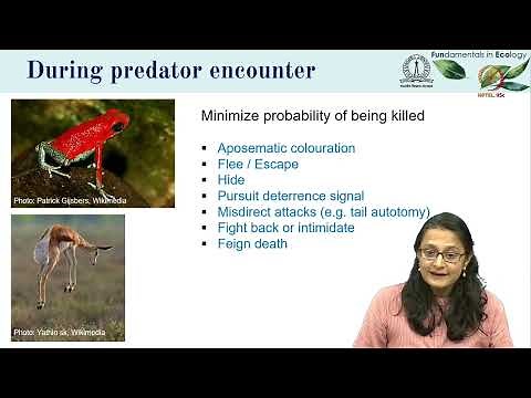 Lec 07 Adaptations in predator-prey interactions